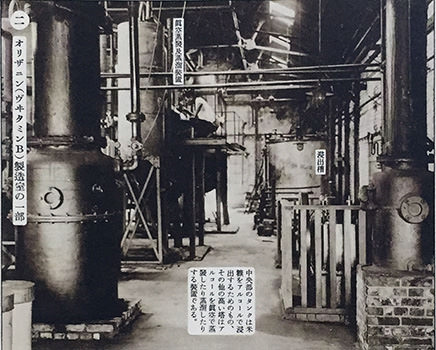 eiyo5.jpg