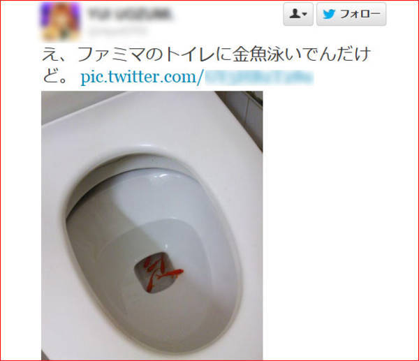 i=https%3A%2F%2Fs.eximg.jp%2Fexnews%2Ffeed%2FRocketnews24%2FRocketnews24_351422.jpeg