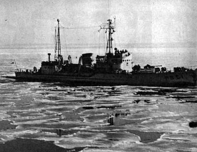 kaihotanjyo10.jpg