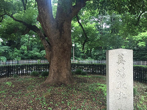 meijijingu11.jpg
