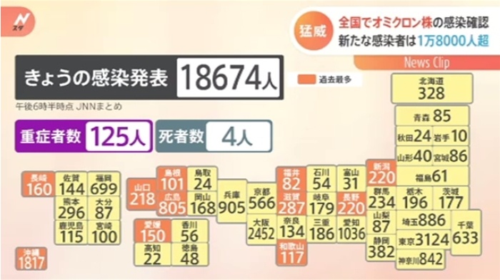 news4447168_50.jpg
