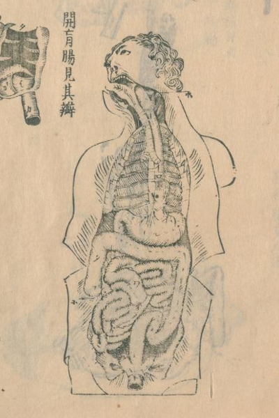 sugitagenpaku01.jpg