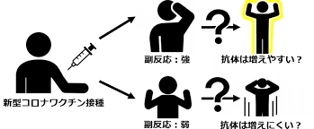 ダウンロード (14).png