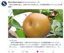 ダウンロード - 2022-08-30T153505.854.jpg