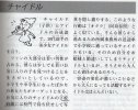 chaidoru.JPG