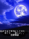 usercover.gif