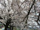 DSCN0595.JPG