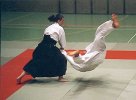 Aikido_Kimeda_02_17.jpg