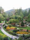 BUTCHARTn_Garden.jpg