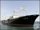 _44248176_ship_ap203b.jpg