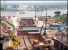 20080808013949dongtay203.jpg