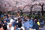 sake%2014.jpg