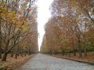 DSC01582.jpg
