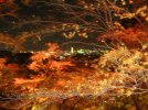 momiji06a.jpg