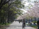 khu vuc thanh osaka.JPG