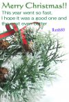 Xmas2010.jpg