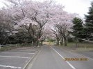 IMG_0465.jpg