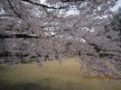 IMG_0469.jpg