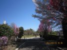 IMG_0473.jpg