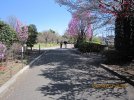 IMG_0474.jpg