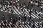 ダウンロード (38).jpg