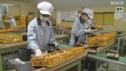 Nhật Bản : Thiết lập hệ thống thu thập thông tin việc làm để giảm gánh nặng cho thực tập sinh kỹ năng Việt Nam