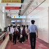 Mức lương ở Nhật quá thấp. Tại sao sinh viên Việt Nam bắt đầu nói “Tôi muốn đến Hàn Quốc hơn Nhật Bản” ?