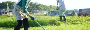 Thực tế nghiêm trọng về "thiếu hụt lao động" ở các vùng nông thôn. "Tương lai của Nhật Bản" nơi người cao tuổi sẽ phải làm việc.