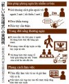 Nhật Bản : Gỡ bỏ tuyên bố tình trạng khẩn cấp, yêu cầu trong đời sống thường ngày.