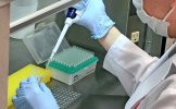 Nhật Bản: Cho phép xét nghiệm PCR sử dụng nước bọt