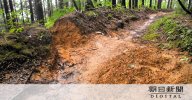 Nhật Bản : Khai quật trái phép con đường đến Di sản Thế giới, một người đàn ông bị nghi ngờ có liên quan.