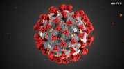 Trên 300 người nhiễm mới virus corona - cao nhất kể từ ngày 2 tháng 5