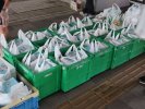 Sự gia tăng khốn khổ trong cuộc sống của những người ở độ tuổi 20, rớt xuống từ “ không chính thức”.