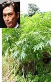 Ngay cả trong câu lạc bộ bóng đá của một trường đại học mạnh ...Lạm dụng cần sa lan sang giới trẻ trên SNS