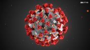 Nhật Bản : Ngày 27 tháng 10, ghi nhận 644 ca nhiễm virus Corona mới, 5 người tử vong.