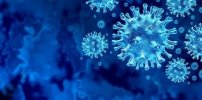 Vào ngày 3, Nhật Bản xác nhận 7 trường hợp tử vong, 866 người nhiễm mới virus corona