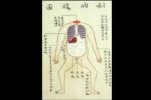 Toyo Yamawaki, người thực hiện cuộc giải phẫu con người đầu tiên của Nhật Bản