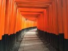 ダウンロード - 2021-03-03T094019.964.jpg