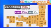 news4249801_50.jpg