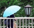 ダウンロード - 2021-06-20T144617.535.jpg