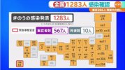 news4301912_50.jpg