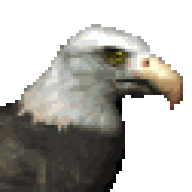 kamikaze