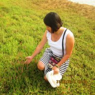 Tuyen Dung