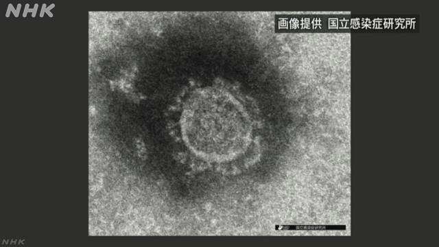 www3.nhk.or.jp