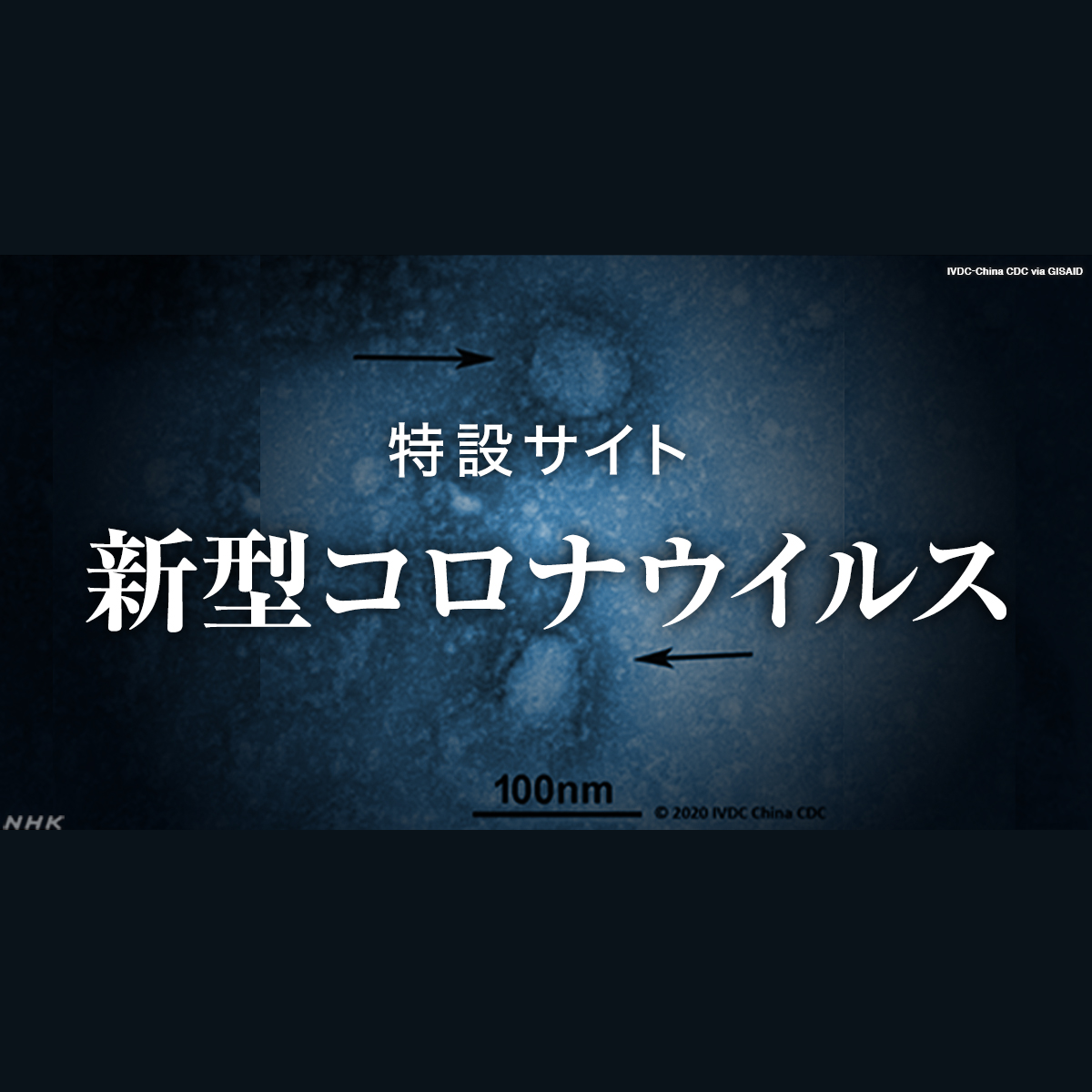 www3.nhk.or.jp