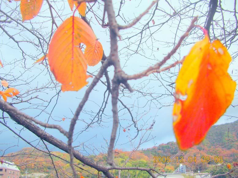 DSCN09131.jpg